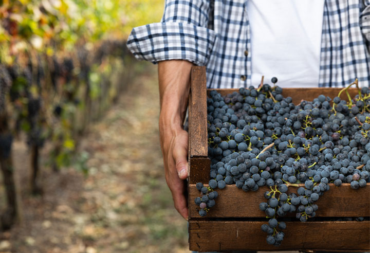Team Antony Generalagentur Der Nieder sterreichischen Versicherung AG