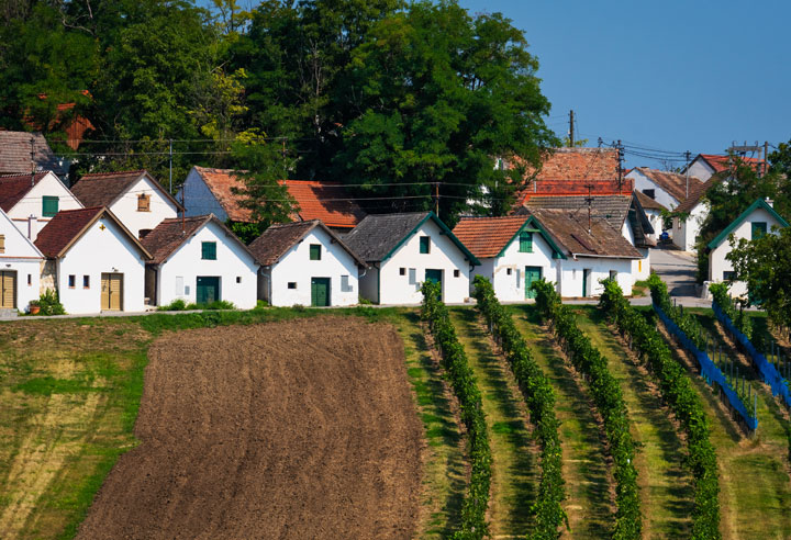 Team Antony Generalagentur Der Nieder sterreichischen Versicherung AG