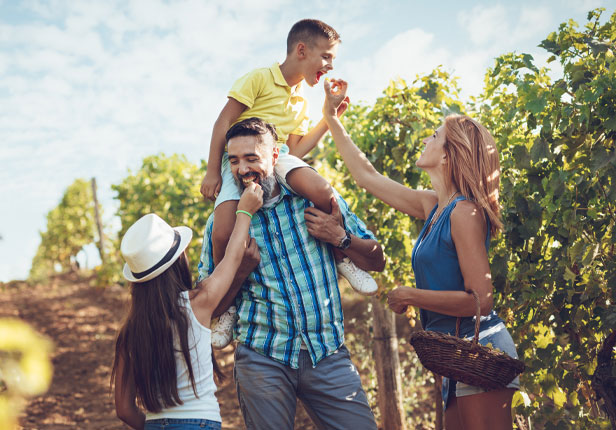 Team Antony Generalagentur Der Nieder sterreichischen Versicherung AG