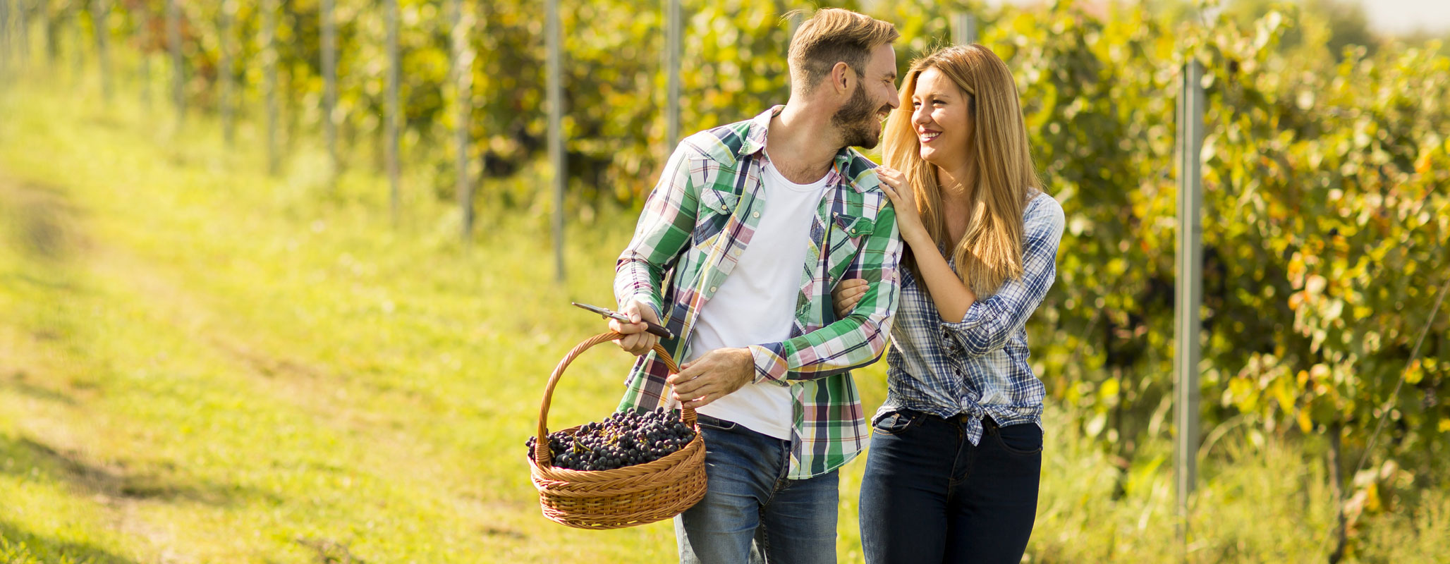 Team Antony Generalagentur Der Nieder sterreichischen Versicherung AG
